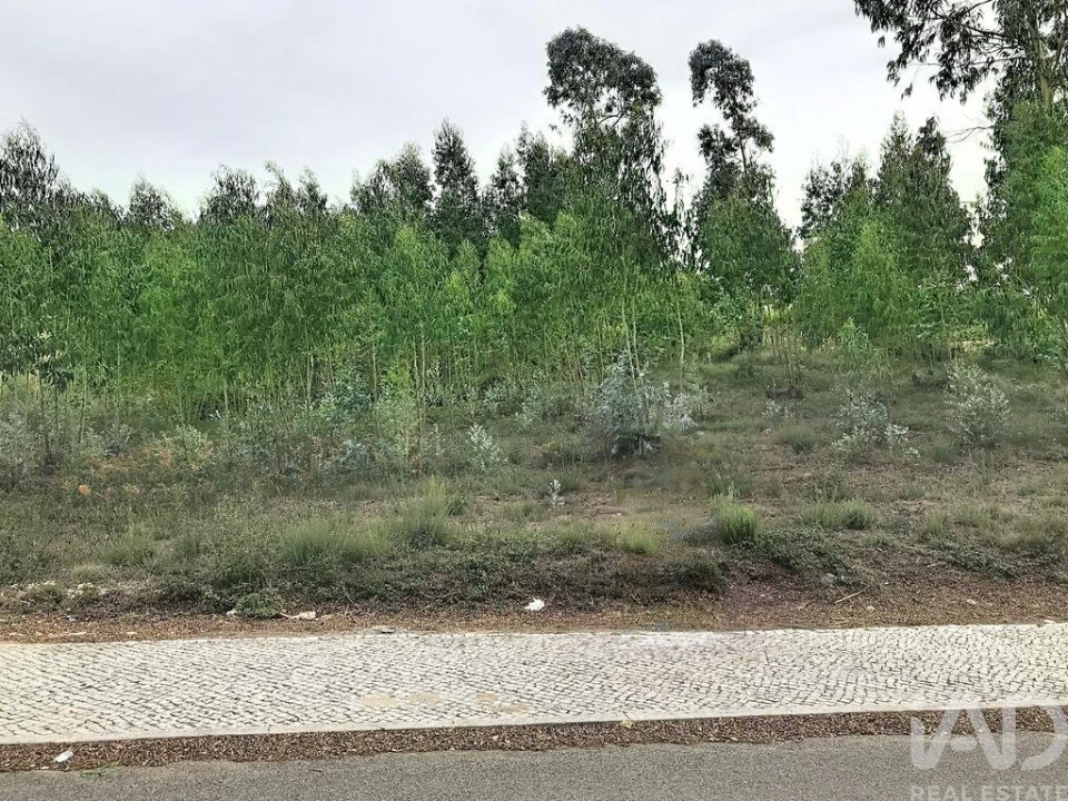 Terreno para Venda em Queluz e Belas Foto 12