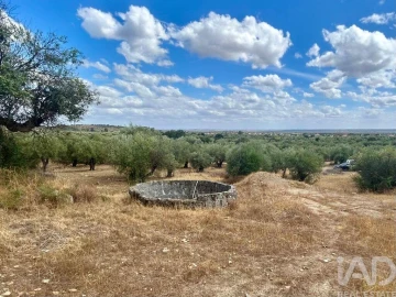 Loja para Venda em Corval