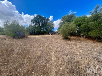Loja para Venda em Corval