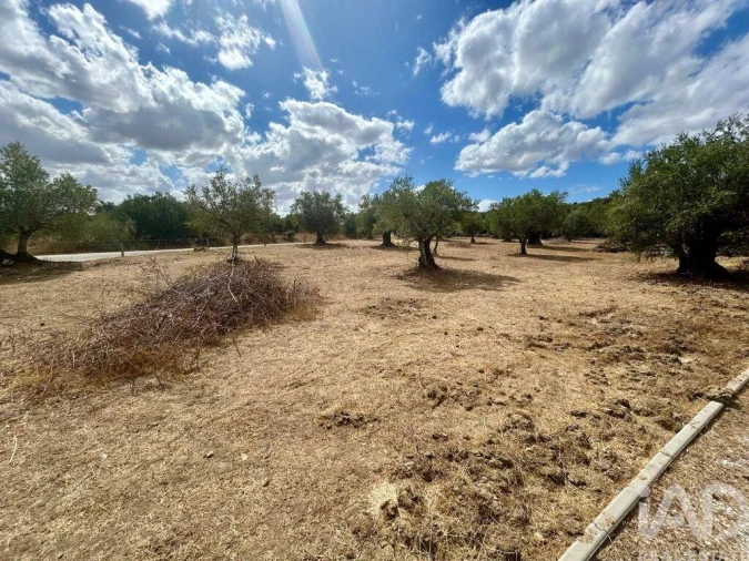 Loja para Venda em Corval Foto 17