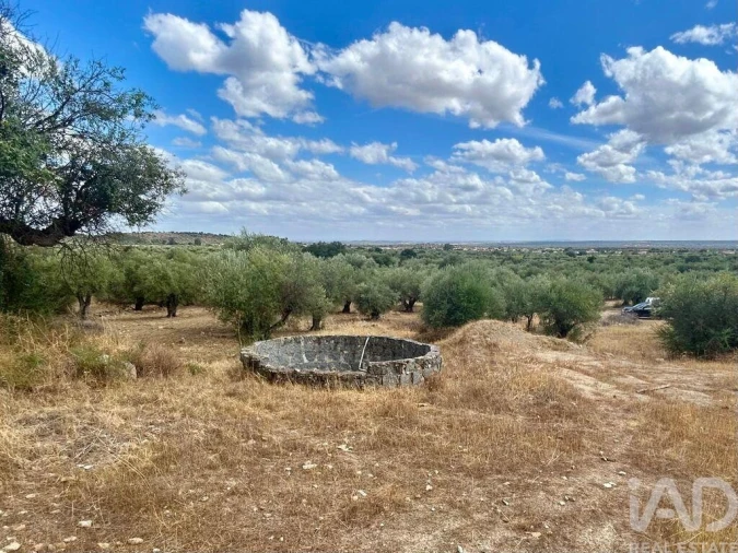 Loja para Venda em Corval Foto 16