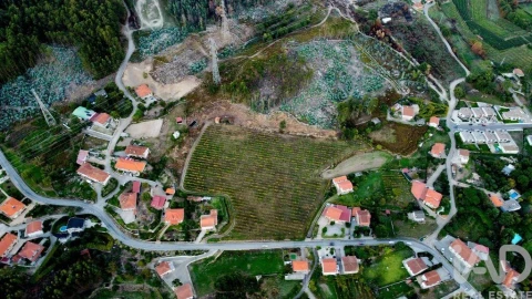 Terreno para Venda em Guilhufe e Urrô