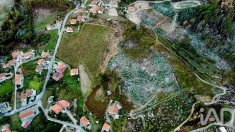 Terreno para Venda em Guilhufe e Urrô