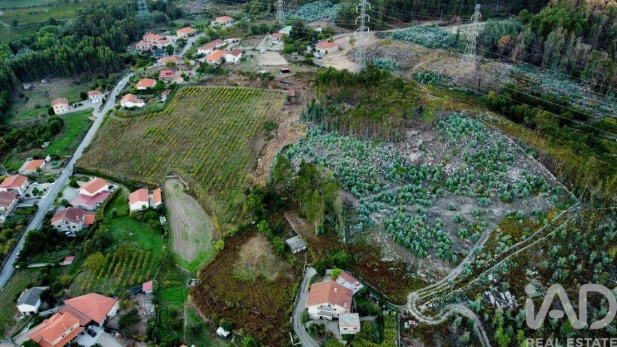 Terreno para Venda em Guilhufe e Urrô Foto 13