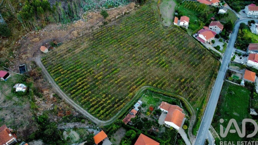 Terreno para Venda em Guilhufe e Urrô Foto 10