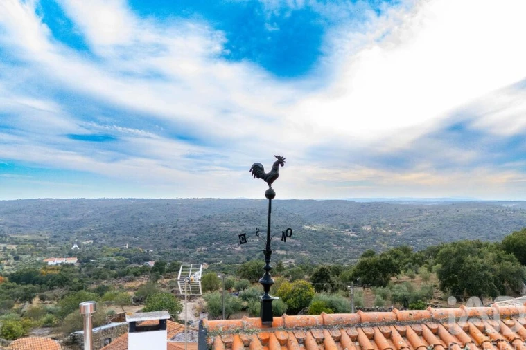 Moradia T4 para Venda em Alverca da Beira/Bouça Cova Foto 8