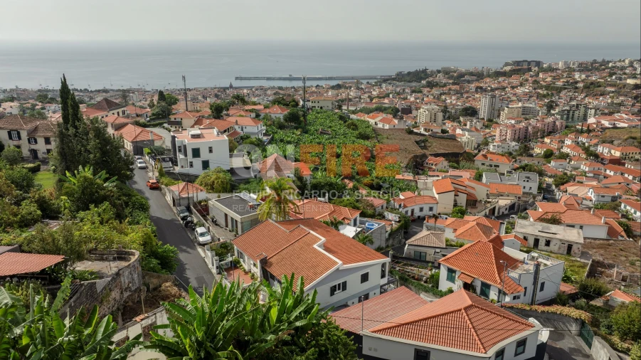 Moradia T4 para Venda em Funchal (Santa Luzia) Foto 43