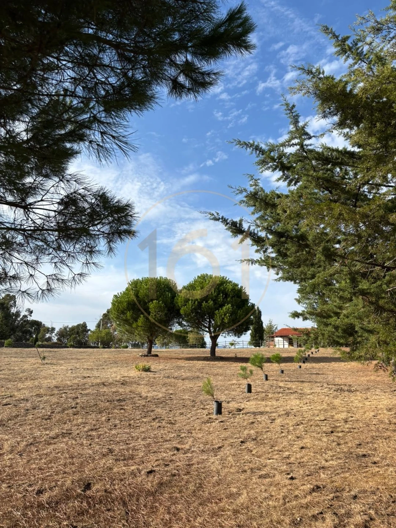 Moradia T4 para Venda em Vilas Boas e Vilarinho das Azenhas Foto 2