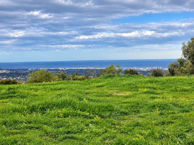 Terreno para Venda em Loule (São Sebastião) Foto 6