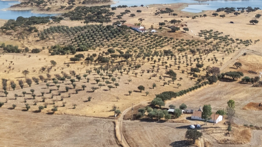 Quinta T3 para Venda em Capelins (Santo Antonio)