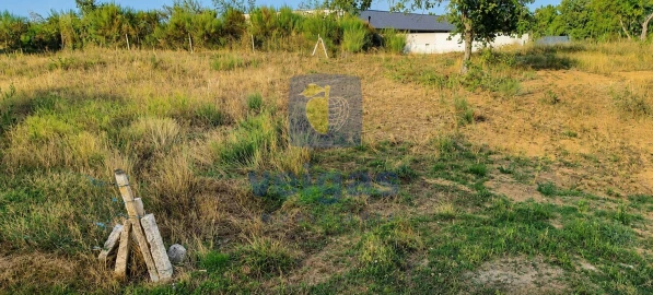 Terreno para Venda em Madalena e Samaiões