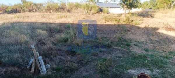 Terreno para Venda em Madalena e Samaiões