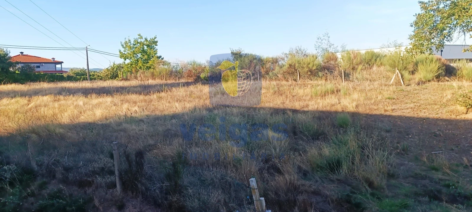 Terreno para Venda em Madalena e Samaiões Foto 4