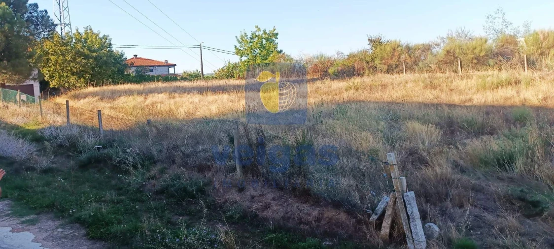 Terreno para Venda em Madalena e Samaiões Foto 7