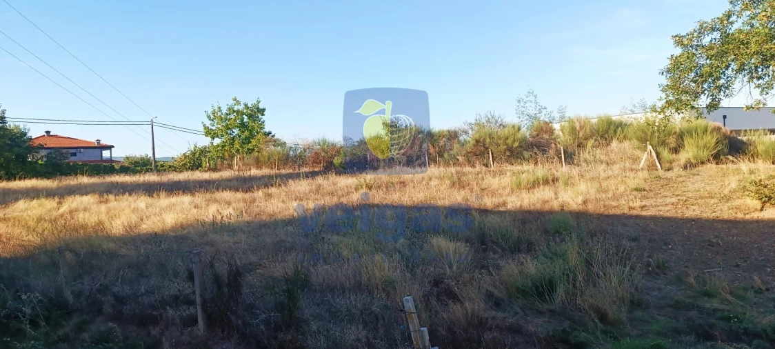 Terreno para Venda em Madalena e Samaiões Foto 6