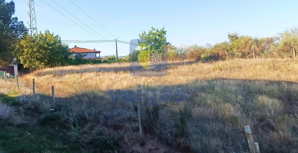 Terreno para Venda em Madalena e Samaiões Foto 5