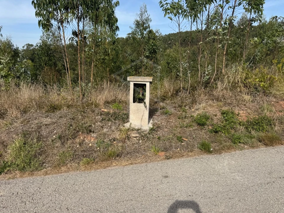 Moradia T2 para Venda em Alvorninha Foto 26