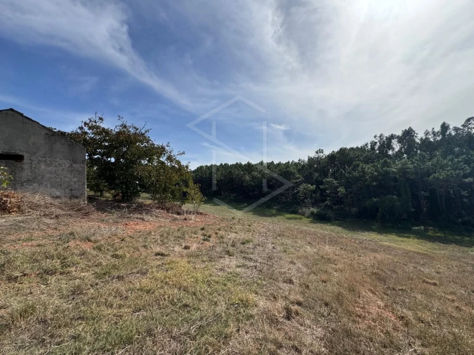 Moradia T2 para Venda em Alvorninha Foto 21