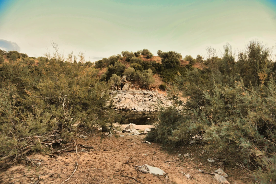 Terreno para Venda em Santa Maria do Castelo e Santiago e Santa Susana Foto 35