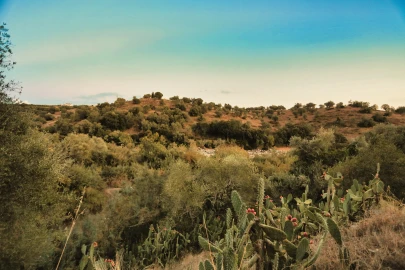 Terreno para Venda em Santa Maria do Castelo e Santiago e Santa Susana