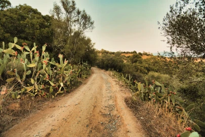 Terreno para Venda em Santa Maria do Castelo e Santiago e Santa Susana