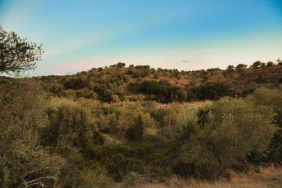 Terreno para Venda em Santa Maria do Castelo e Santiago e Santa Susana