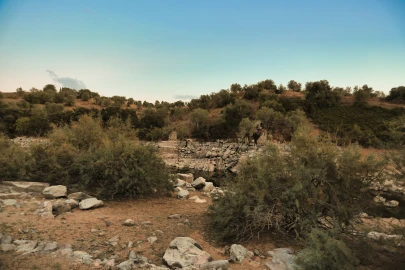Terreno para Venda em Santa Maria do Castelo e Santiago e Santa Susana
