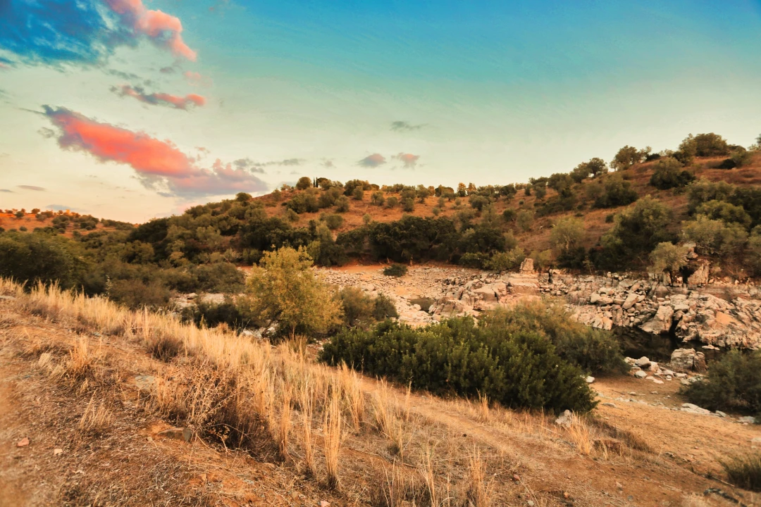 Terreno para Venda em Santa Maria do Castelo e Santiago e Santa Susana Foto 19