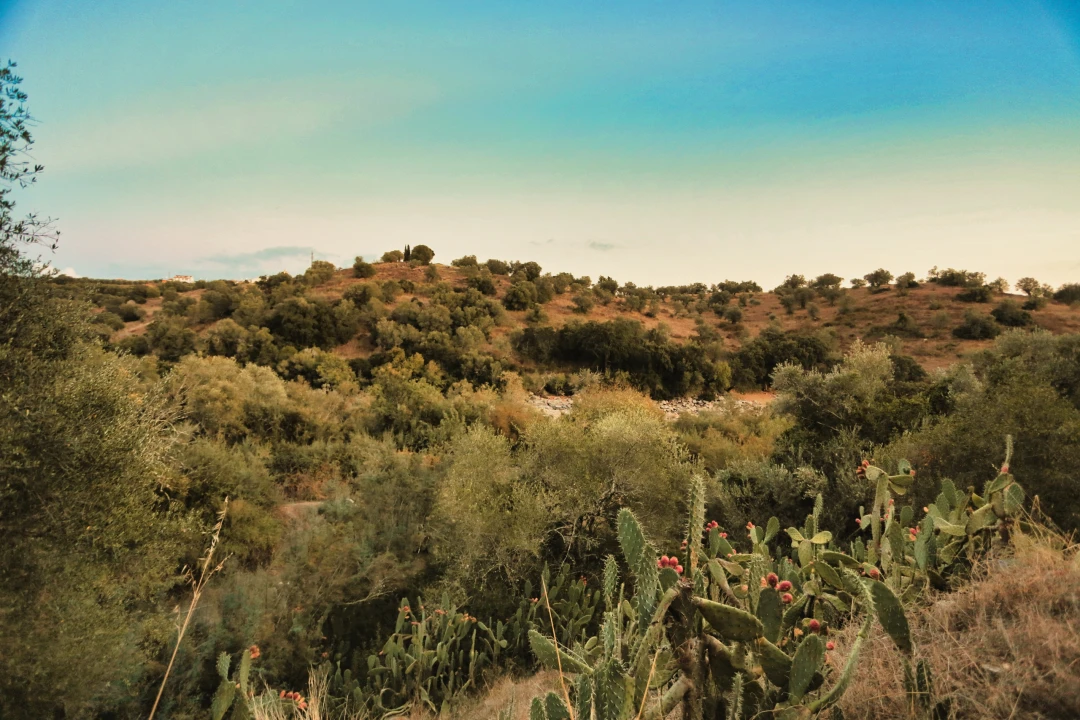 Terreno para Venda em Santa Maria do Castelo e Santiago e Santa Susana Foto 43