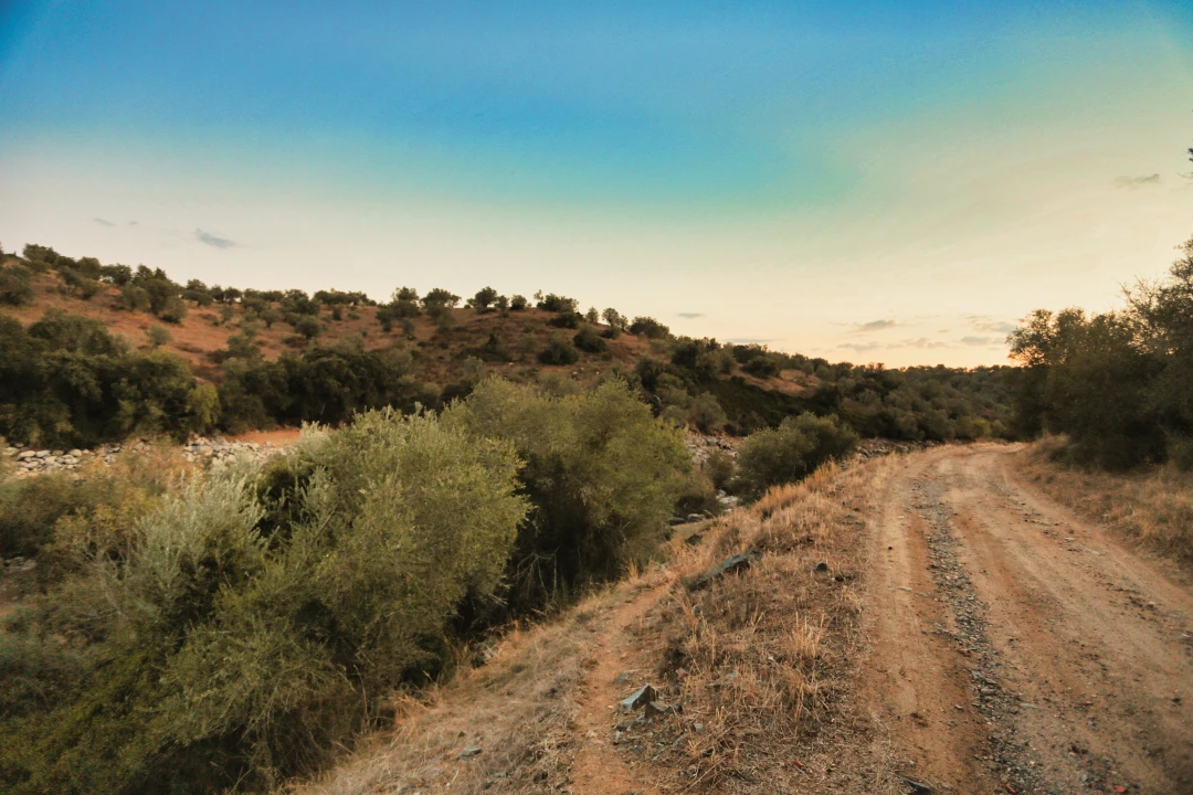 Terreno para Venda em Santa Maria do Castelo e Santiago e Santa Susana Foto 41