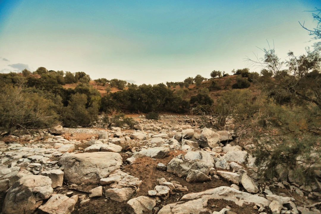 Terreno para Venda em Santa Maria do Castelo e Santiago e Santa Susana Foto 38