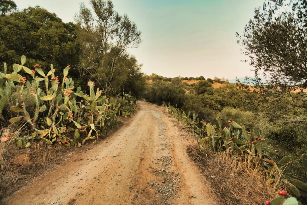 Terreno para Venda em Santa Maria do Castelo e Santiago e Santa Susana Foto 42