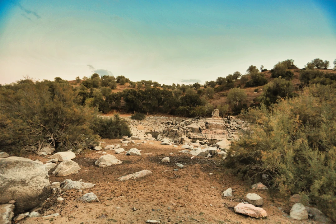 Terreno para Venda em Santa Maria do Castelo e Santiago e Santa Susana Foto 37