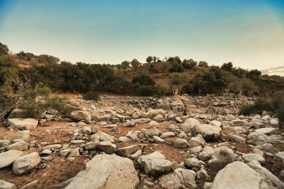Terreno para Venda em Santa Maria do Castelo e Santiago e Santa Susana Foto 39