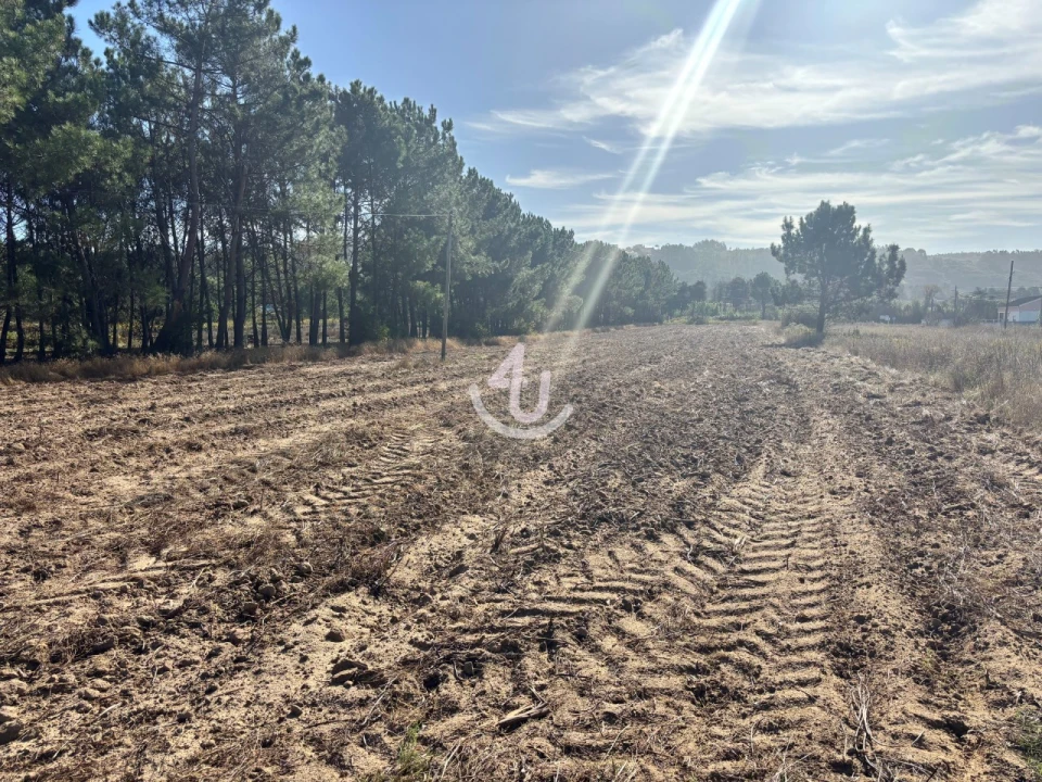 Terreno Agricola ou Rústico para Venda em Alfeizerão Foto 2