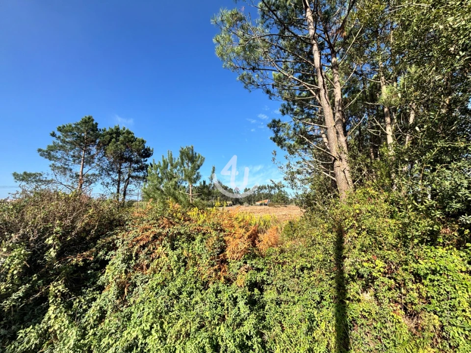 Terreno Agricola ou Rústico para Venda em Alfeizerão Foto 3
