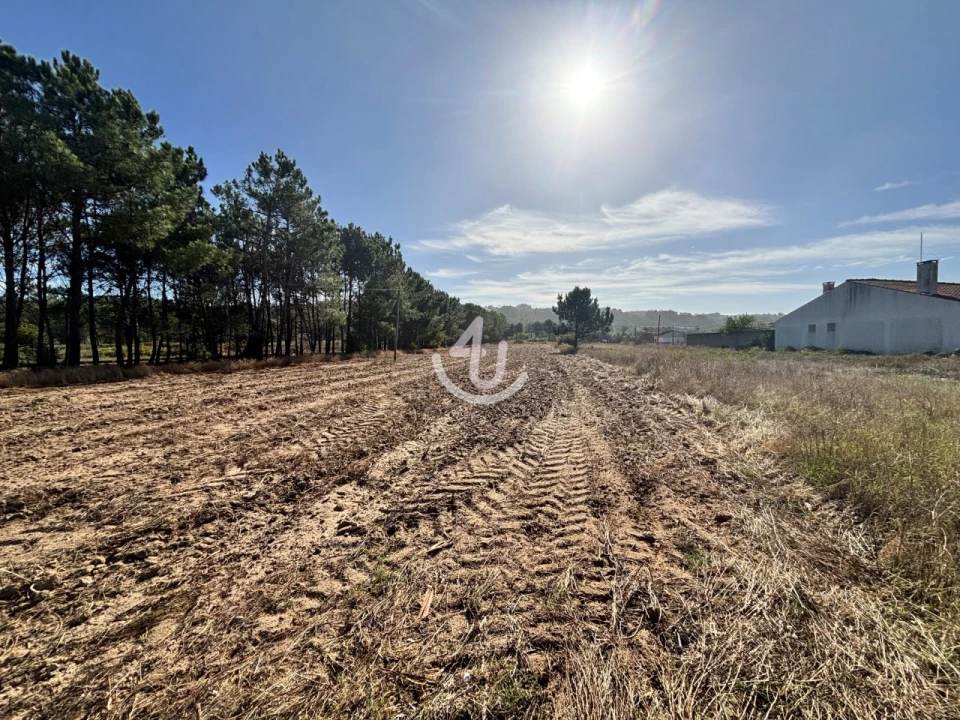 Terreno Agricola ou Rústico para Venda em Alfeizerão Foto 4