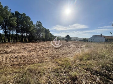 Terreno Agricola ou Rústico para Venda em Alfeizerão