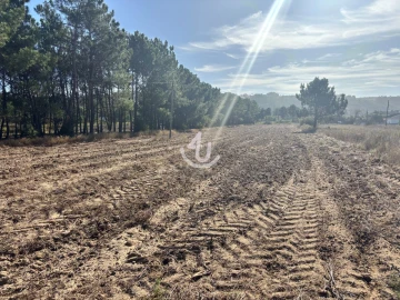 Terreno Agricola ou Rústico para Venda em Alfeizerão