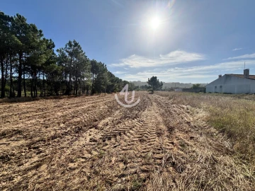Terreno Agricola ou Rústico para Venda em Alfeizerão