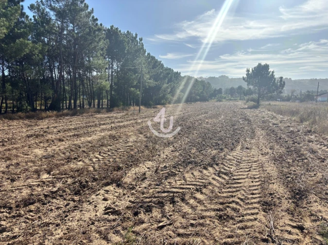 Terreno Agricola ou Rústico para Venda em Alfeizerão Foto 2