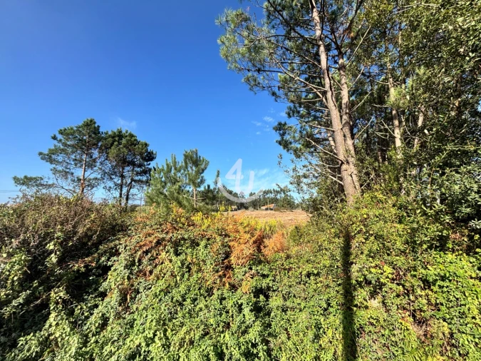 Terreno Agricola ou Rústico para Venda em Alfeizerão Foto 3