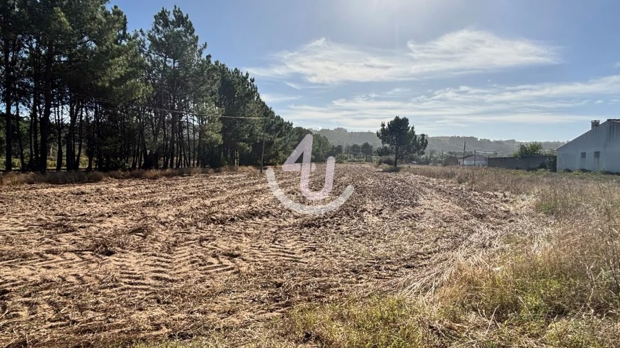 Terreno Agricola ou Rústico para Venda em Alfeizerão