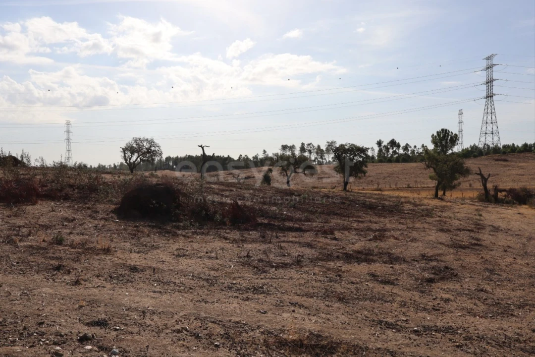 Terreno Agricola ou Rústico para Venda em Benquerenças Foto 1