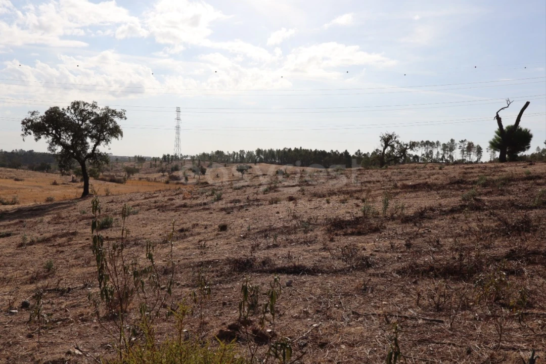 Terreno Agricola ou Rústico para Venda em Benquerenças Foto 2