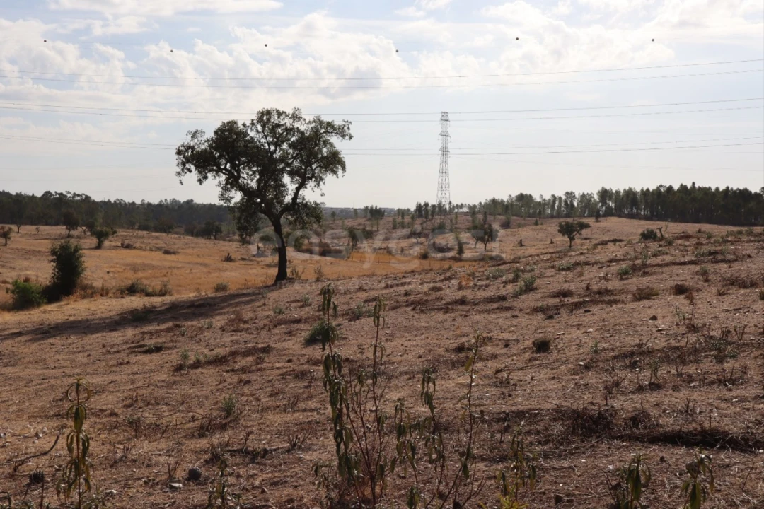 Terreno Agricola ou Rústico para Venda em Benquerenças Foto 4