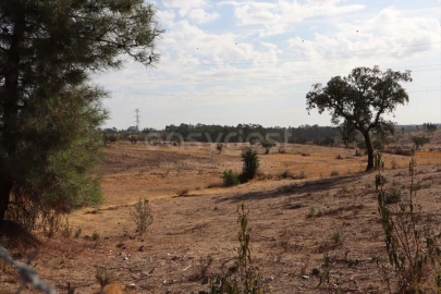 Terreno Agricola ou Rústico para Venda em Benquerenças