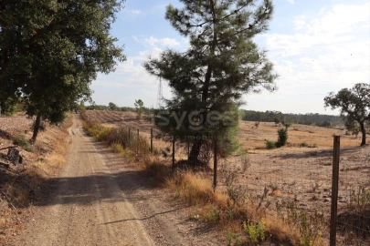 Terreno Agricola ou Rústico para Venda em Benquerenças