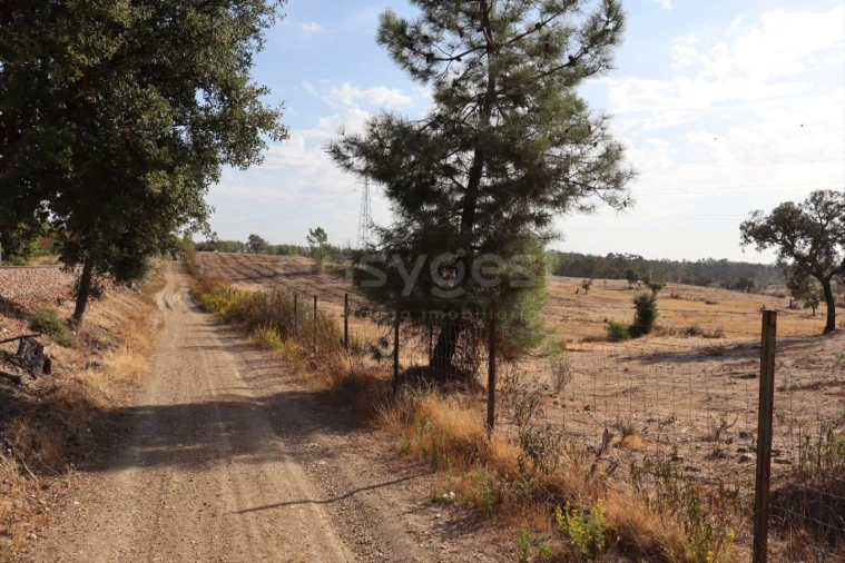 Terreno Agricola ou Rústico para Venda em Benquerenças Foto 6