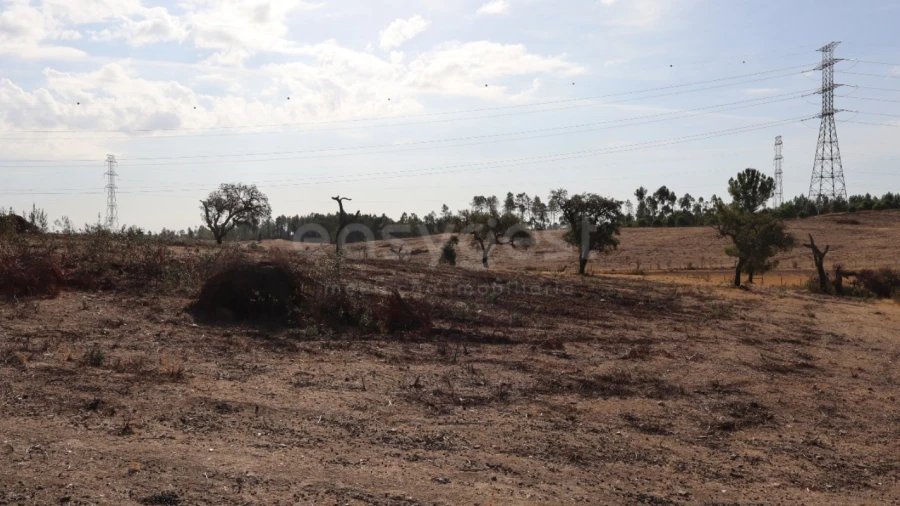 Terreno Agricola ou Rústico para Venda em Benquerenças